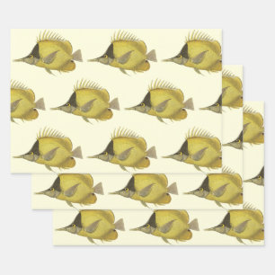 Feuille De Papier Cadeau Chelmon Longirostris Tropical Jaune, Poisson Vinta