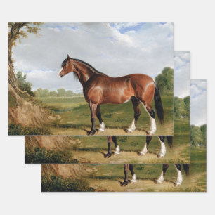 Feuille De Papier Cadeau Cheval Peinture à l'huile équestre Découpage Vinta