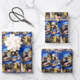 Feuille De Papier Cadeau Chiens et chats diplômés en photomaton
