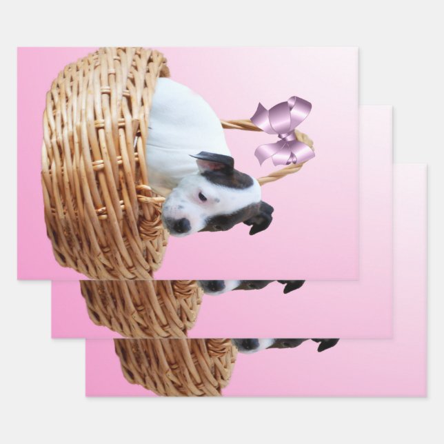 Feuille De Papier Cadeau Chiot Du Staffordshire Dans Un Panier, (Lot)