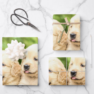 Feuille De Papier Cadeau Chipies Golden Retriever en ligne
