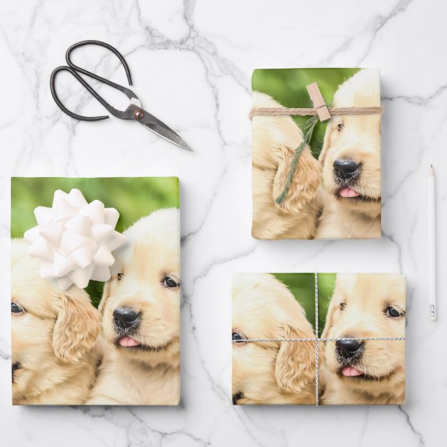 Feuille De Papier Cadeau Chipies Golden Retriever en ligne (Recto)