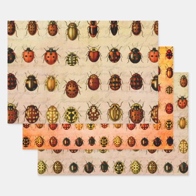 Feuille De Papier Cadeau Coccinelle Insecte Coléoptère (Lot)