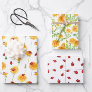 Feuille De Papier Cadeau Coccinelles et Pissenlits