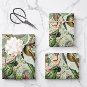 Feuille De Papier Cadeau Colibris par Ernst Haeckel, Oiseaux Vintages