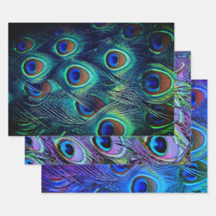 Feuille De Papier Cadeau Collection de plumes Peacock