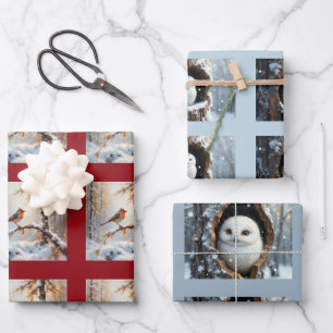 Feuille De Papier Cadeau collection d'oiseaux sauvages de Noël