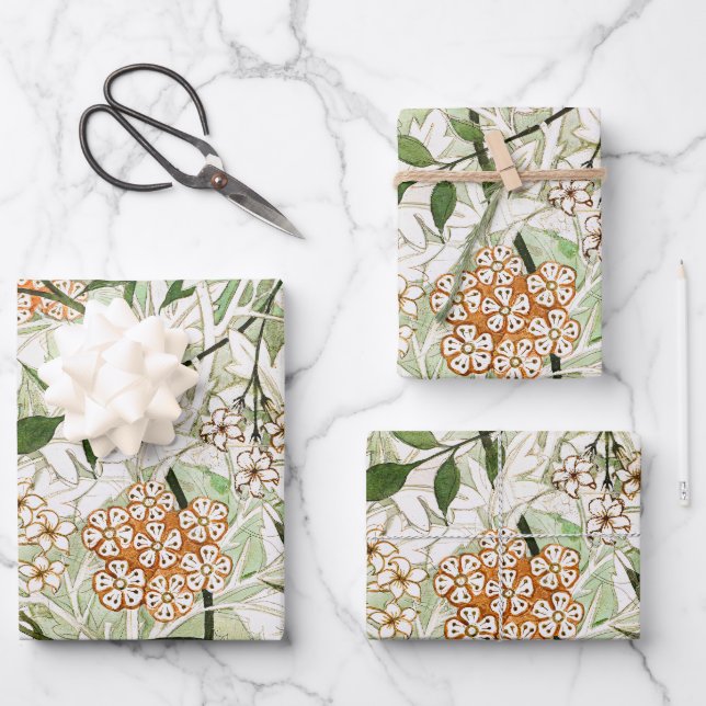 Feuille De Papier Cadeau Conception de jardin de fleurs de jasmin de Willia (Recto)