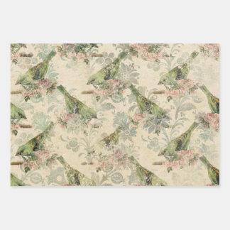 Feuille De Papier Cadeau Conception de la série Oiseaux Éphémères Cinq