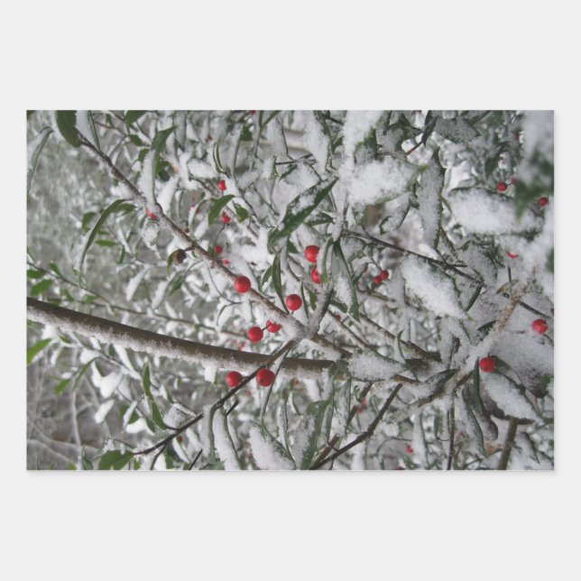 Feuille De Papier Cadeau Congelé (Devant 3)