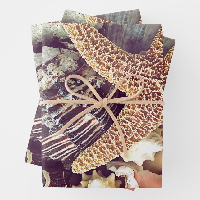 Feuille De Papier Cadeau Coquillages de Plage (En situation)