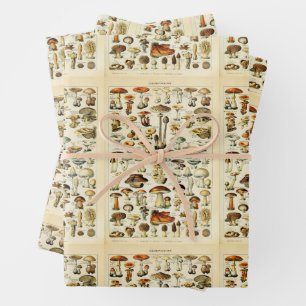 Feuille De Papier Cadeau Cottagecore Champignons Naturaliste Vintage