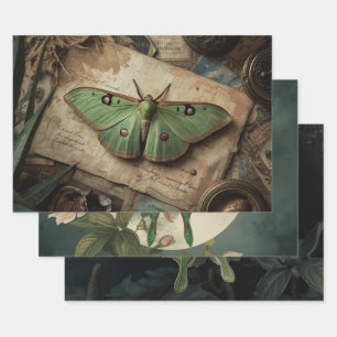 Feuille De Papier Cadeau Cottagecore Lune Papillon de Moth Gothique Papillo