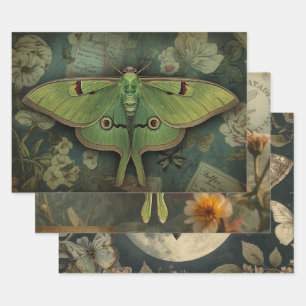 Feuille De Papier Cadeau Cottagecore Lune Papillon Gothique Papillon de Nui