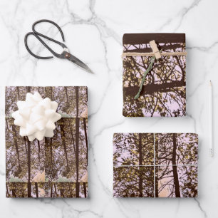 Feuille De Papier Cadeau Couleur par les arbres