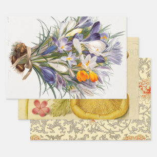 Feuille De Papier Cadeau Crocus Spring Flower Floral Art