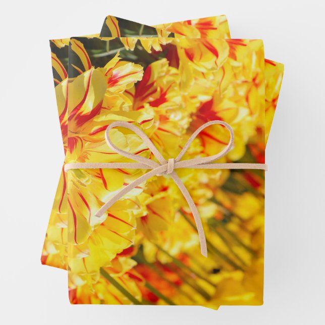 Feuille De Papier Cadeau Croissance en or (En situation)