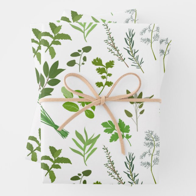 Feuille De Papier Cadeau Cuisine verte Herbes de jardin culinaires (En situation)