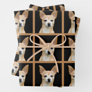 Feuille De Papier Cadeau Cute Chihuahua Chien noir Tan Motif Design