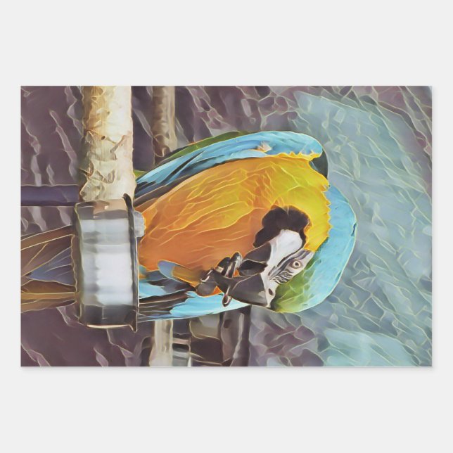 FEUILLE DE PAPIER CADEAU CUTE MACAW (Devant)