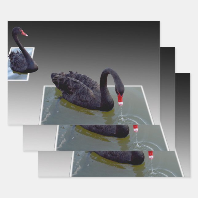 Feuille De Papier Cadeau Cygnes Noirs En Étangs, Enveloppement Cadeau, Feui (Lot)