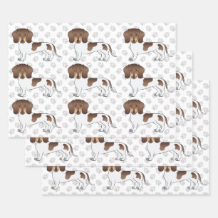 Feuille De Papier Cadeau Dachshund à poil court chocolat et tan & pattes