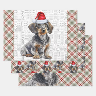 Feuille De Papier Cadeau Dachshund à poil dur Rouge Carreaux de Noël