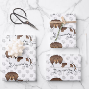 Feuille De Papier Cadeau Dachshund à poils longs chocolat et tan piebald &