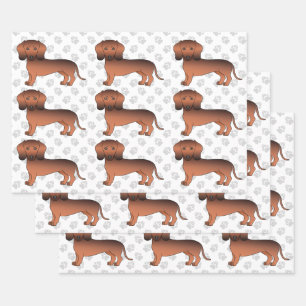 Feuille De Papier Cadeau Dachshund couleur rouge sablé à poil lisse Motif d