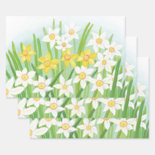 Feuille De Papier Cadeau Daffodiques à ressort blanc et jaune