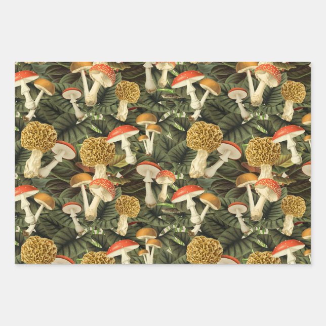 Feuille De Papier Cadeau Dark Academia Victorian Goth Glam Champignons et f (Devant)