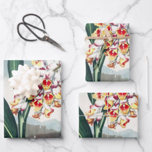Feuille De Papier Cadeau Décor floral exotique blanc jaune de style Régence