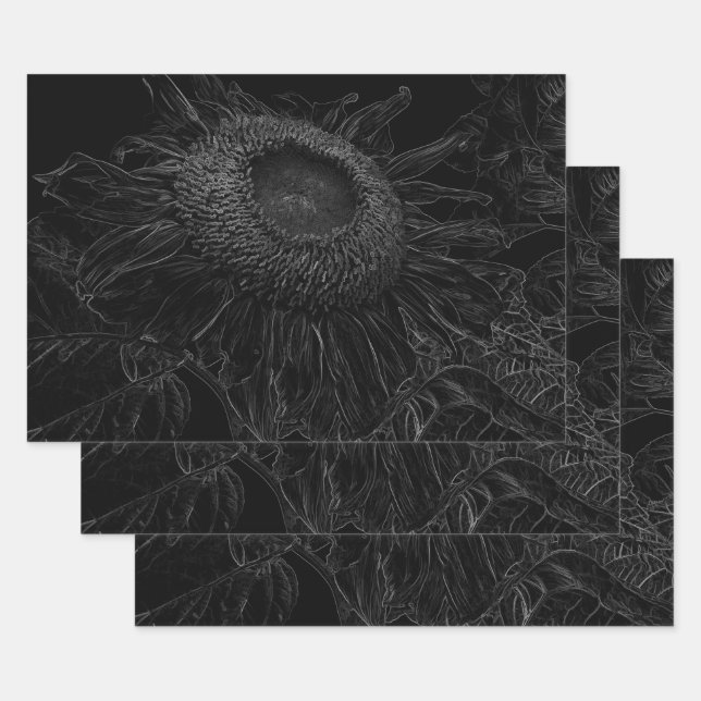 Feuille De Papier Cadeau Découpage D'Art Floral Noir Et Blanc (Lot)