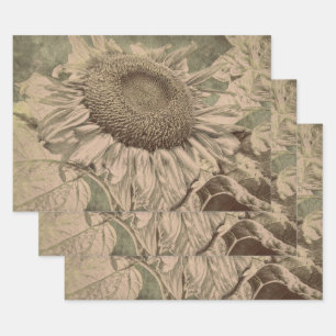 Feuille De Papier Cadeau Découpage de texture d'art brun ton sépia tourneso