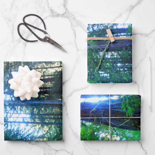 Feuille De Papier Cadeau Découpage Décor Jungle Dense Grande Qualité Wr (Recto)