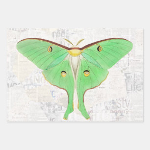 Feuille De Papier Cadeau Découpage papillon Luna Moth vintage