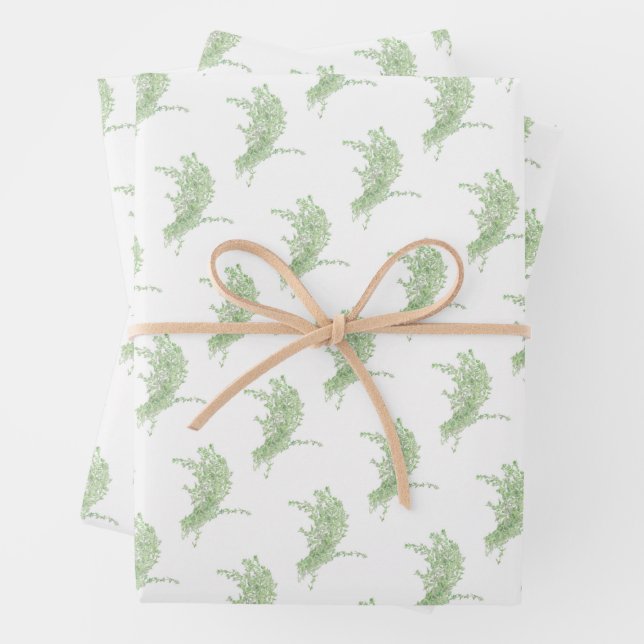 Feuille De Papier Cadeau Dessin de Thym (En situation)