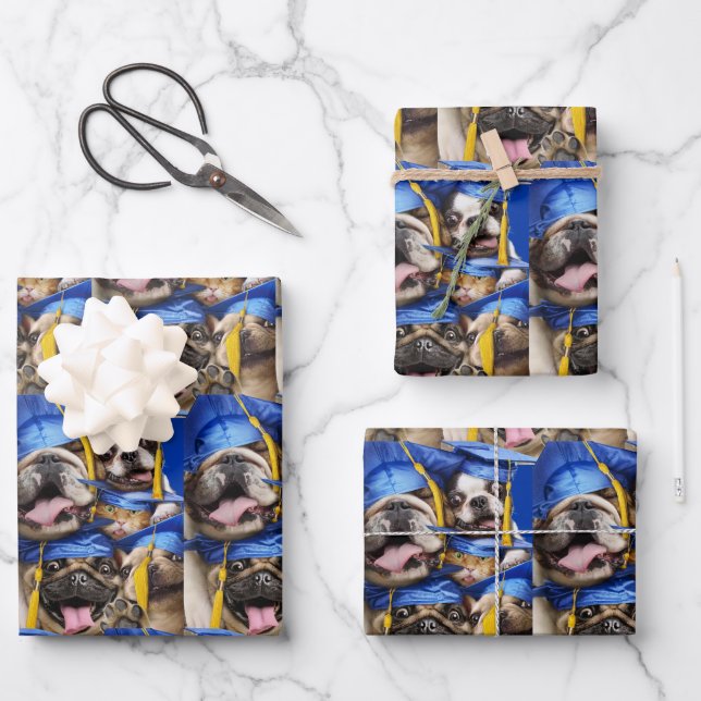 Feuille De Papier Cadeau Dogs and Cat Grads in Photo Booth (Recto)