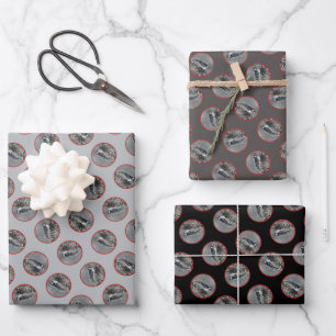 Feuille De Papier Cadeau Downy Woodpecker en hiver Photo originale