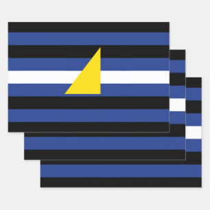 Feuille De Papier Cadeau Drapeau de fierté des sports aquatiques