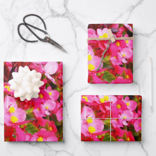 Feuille De Papier Cadeau Droplets Roses Du Printemps, Begonia,