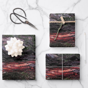 Feuille De Papier Cadeau Écorce de bois moussue d'arbre noir rouge