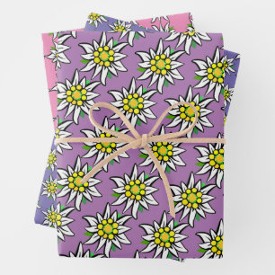 Feuille De Papier Cadeau Edelweiss pur