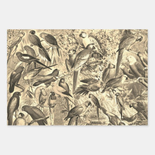 Feuille De Papier Cadeau Elégant Parrots Vintages Beige Tropical Birds