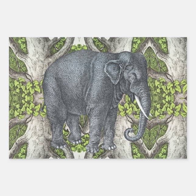 Feuille De Papier Cadeau Eléphant vintage (Devant)