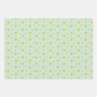 Feuille De Papier Cadeau Ensemble cadeau Marigold & Daisy