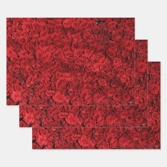 Feuille De Papier Cadeau Enveloppe cadeau Red Roses HAMbyWG (Lot)