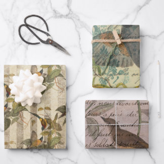 Feuille De Papier Cadeau Ephémérite Birds Series Design Four