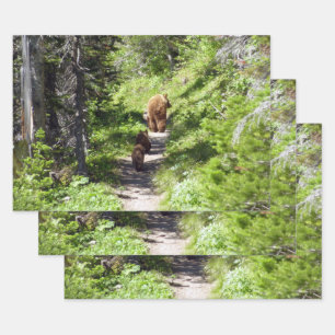 Feuille De Papier Cadeau Famille d'ours bruns