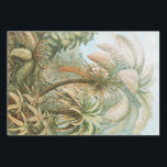 Feuille De Papier Cadeau Ferns, Filicinae Laubfarne par Ernst Haeckel<br><div class="desc">Ferns,  Filicinae Laubfarne par Ernst Haeckel Feuille de papier d'emballage</div>